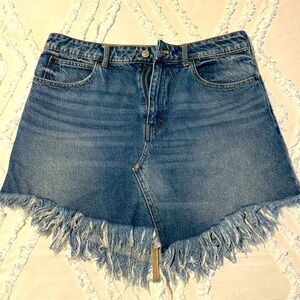 Free People Denim Skirt